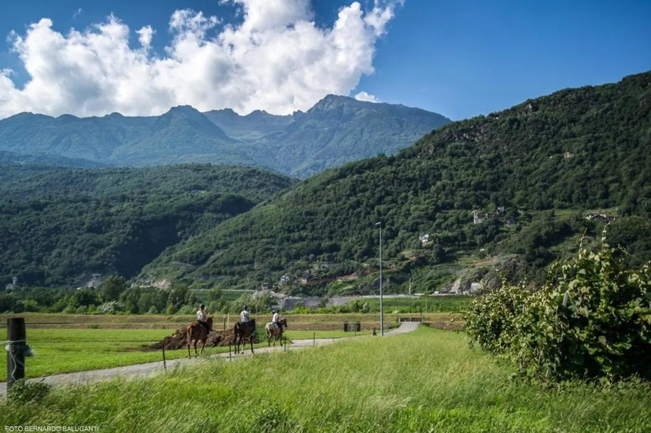 Agriturismo L'Isola Del Cavallo 2 Desco Italy